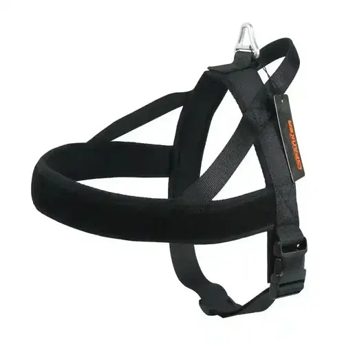 Under begränsad tid - Pettorina per cani personalizzabile ”Dynamic”