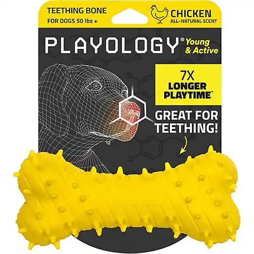 Kundernas favorit | Playology Teething Bone Chicken Jumbo