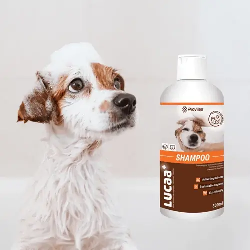 Lågt pris - Probiotic Pet Shampoo Provilan Lucaa+