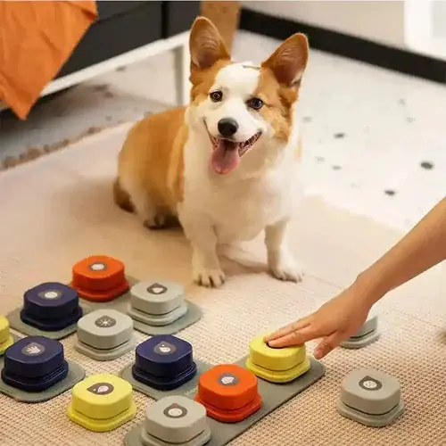 Kanonpris - Pulsanti per cani interattivi programmabili ”Tiles”