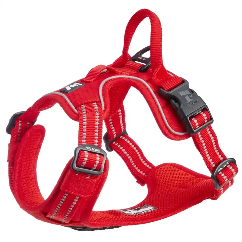 Feel Active Training Hundsele Röd | Prissänkt