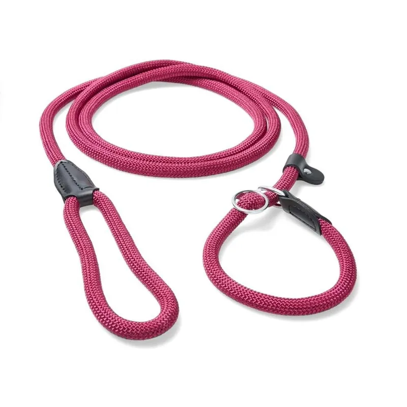 Basic Retrieverkoppel 250 x 1,3 cm - Passa på nu
