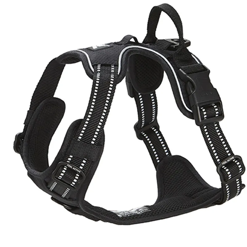 Toppkvalitet | Feel Active Training Hundsele Svart