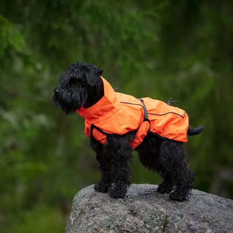 Försäljningssuccé - Feel Active Reflective Regnjacka Orange