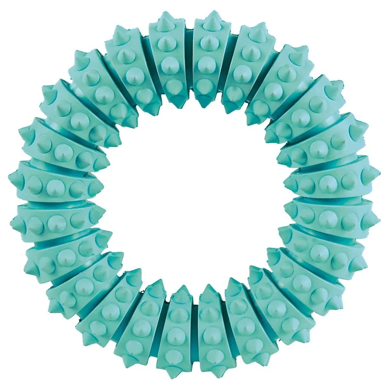 Trixie Denta Fun Tuggring Mint | Enkel beställning