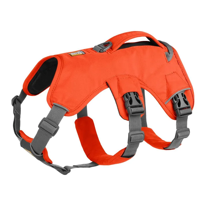 Ruffwear Web Master Hundsele Orange | Begränsat antal