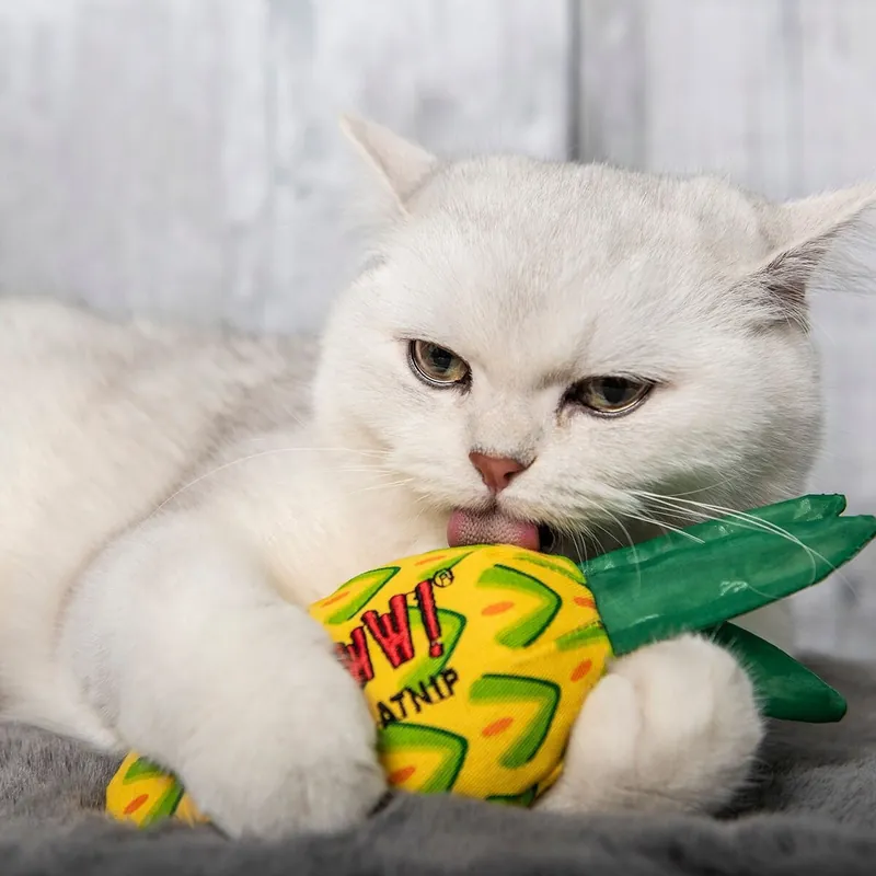 Fabrikspris | Yeowww! Kattmynta Ananas