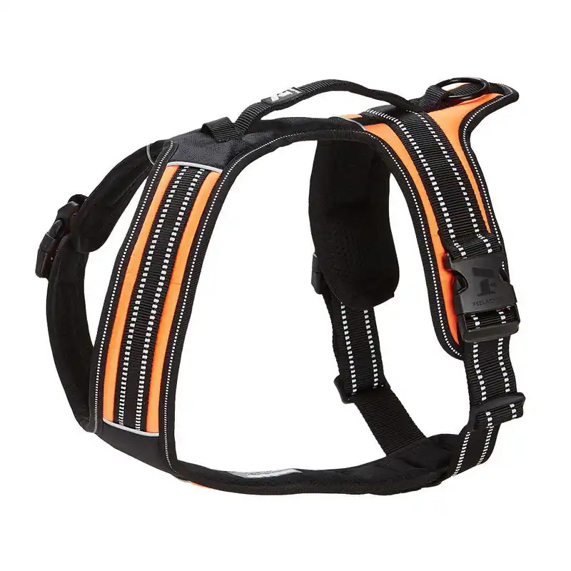 Feel Active Sport Sele Orange - Topprodukt