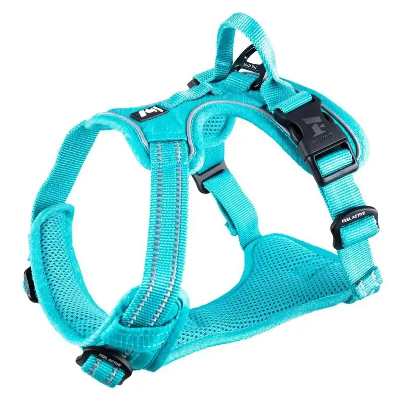 Kundernas favorit - Feel Active Training Hundsele Turkos