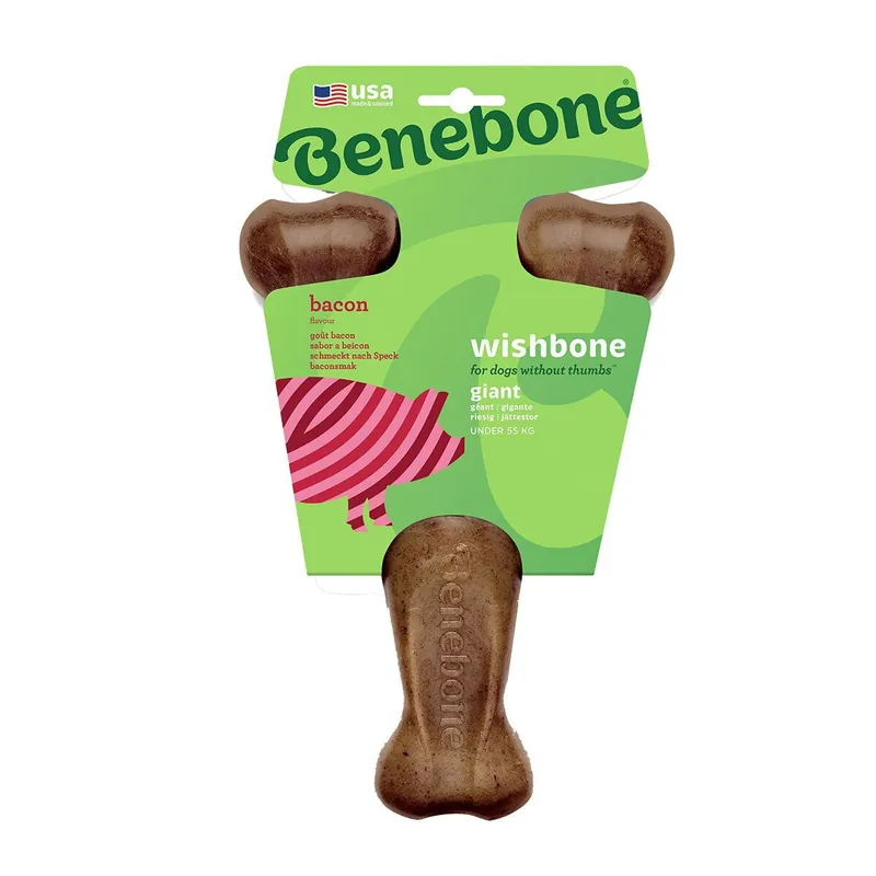 Benebone Wishbone Hundben i Nylon med Baconsmak | Specialpris