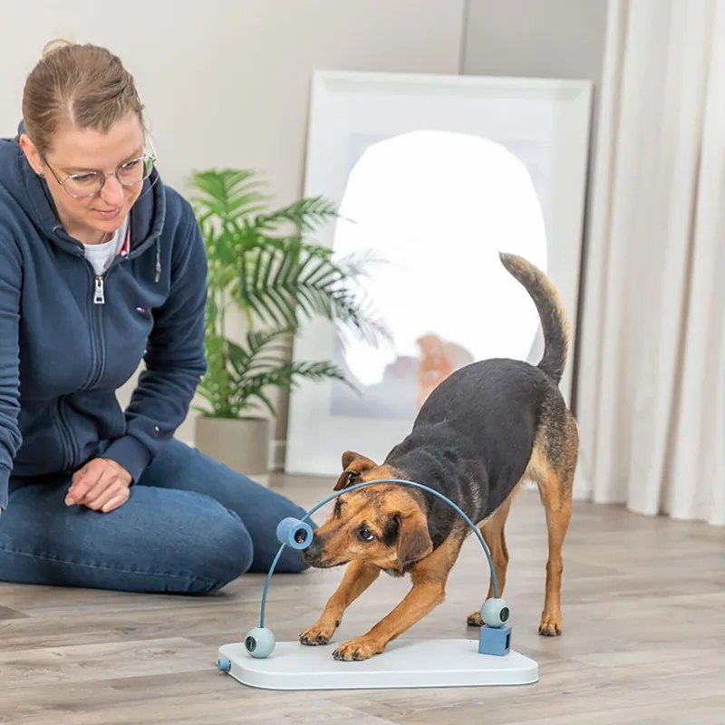 Trixie Dog Activity Skills Loop Aktiveringsleksak - Extra rabatt