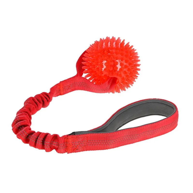Premium | Kerbl Bungee Boll med Handtag