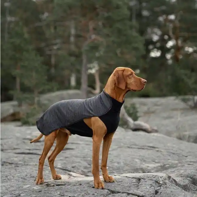 Feel Active Oslo Hundtröja Grå | Storsäljare