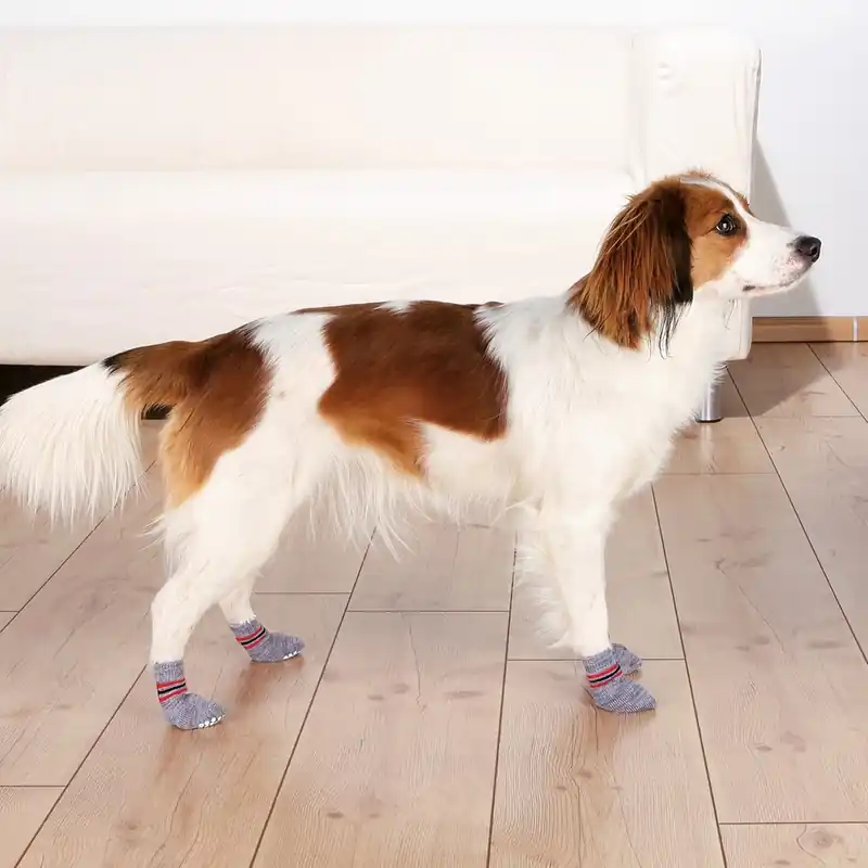 Bara denna vecka - Trixie Hundsockor Non-slip 2-pack