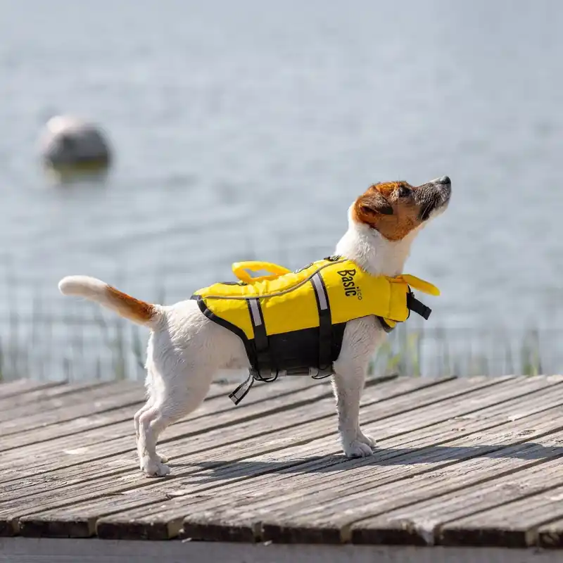 Missa inte erbjudandet - Basic Eco Hundflytväst Gul
