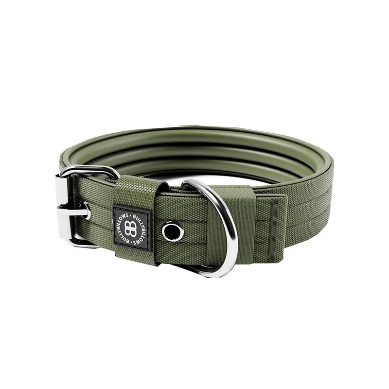 BullyBillows Hundhalsband med Spänne 4 cm Grön - Efterfrågad