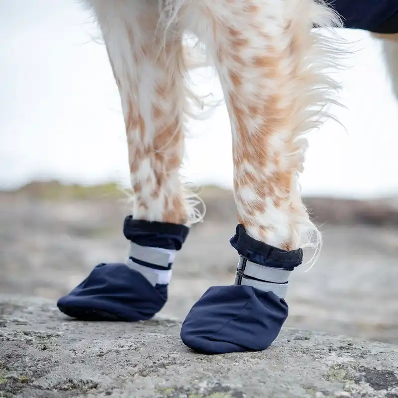 Feel Active Snow Hundstrumpor Blå 2-pack | Beställ online