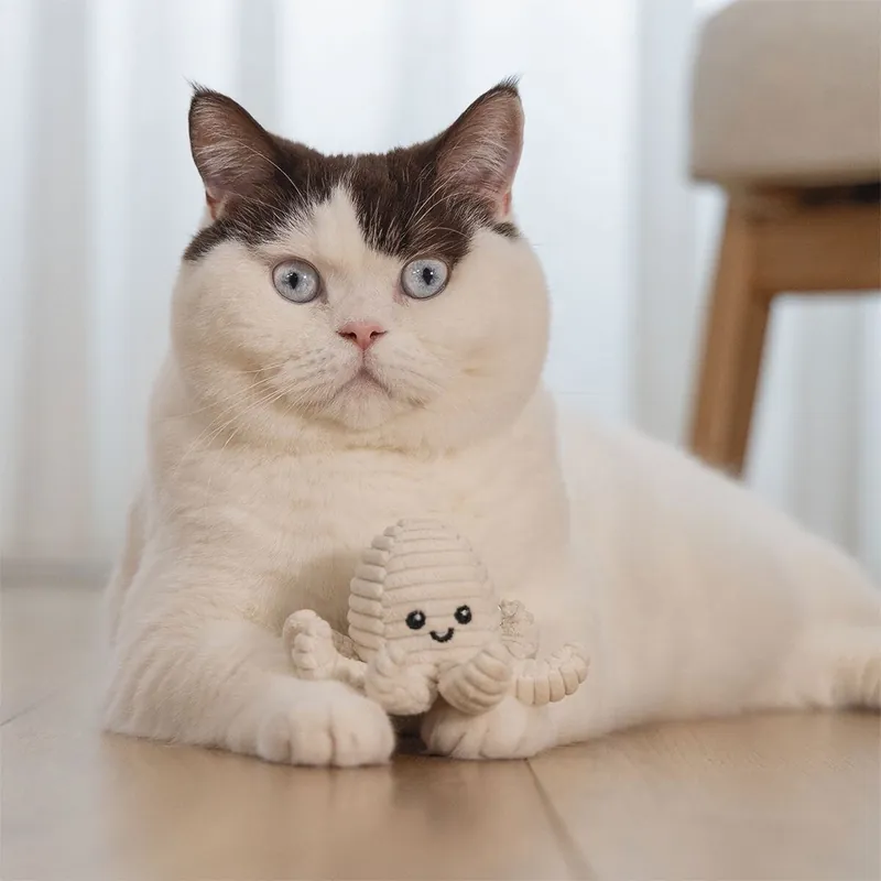 Beeztees Eco Cat Nome Bläckfisk - Efterfrågad