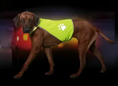 Rea - Reflexväst hund M,L,XL