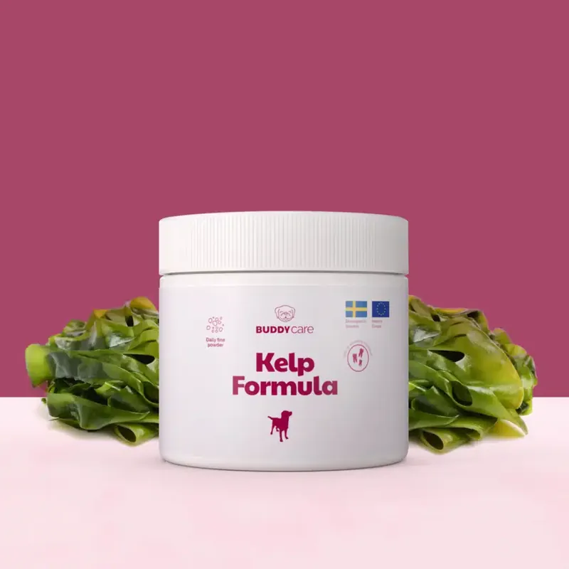 Buddycare Kelp Formula 250ml - Favorit hos kunderna