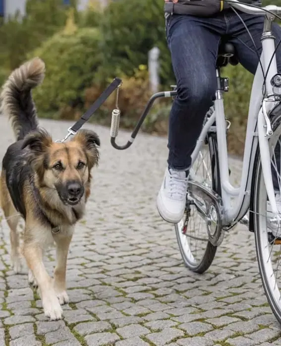 Passa på | Cykelfäste, U-form M/L