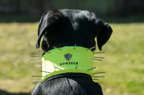 Dogtech Neck. Hals- och nackskydd med vargstål | Mycket efterfrågad