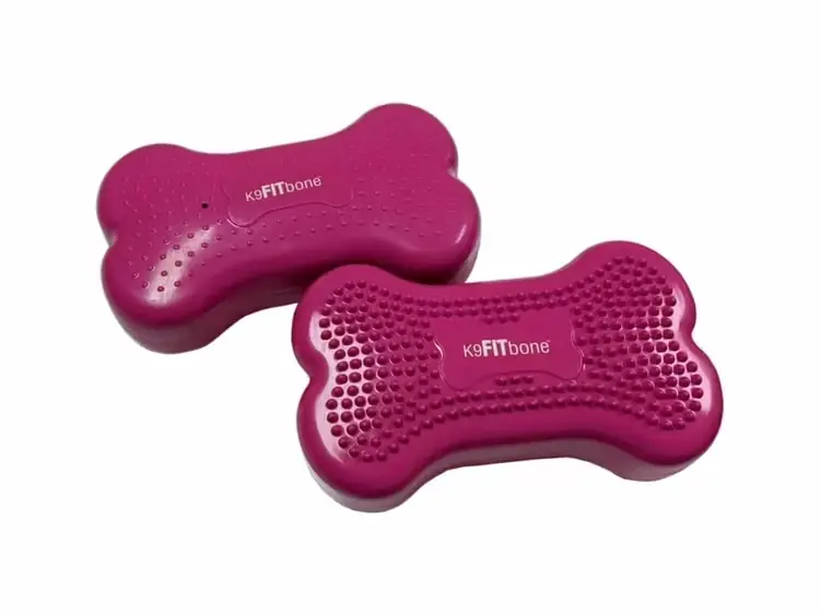Expressfrakt | FitPaws K9Fitbone MINI Balance Disc, balansplatta 30 cm, 2 pack