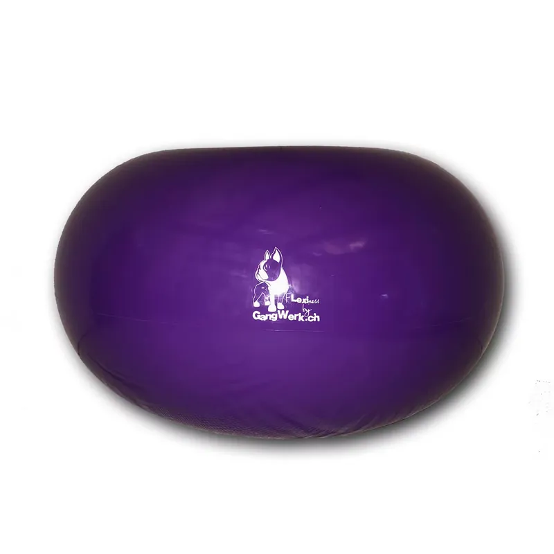 Flexiness® BigDonut- balansboll 45x80 cm | Slutrea