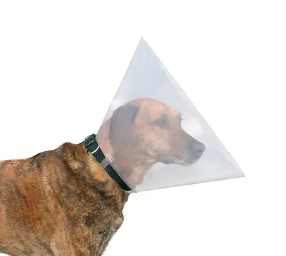 Hundkrage Transparent | I lager