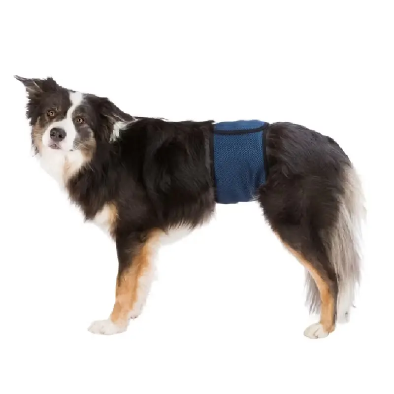 Extra bra pris | Hanhundsskydd, mörkblå 29-75 cm