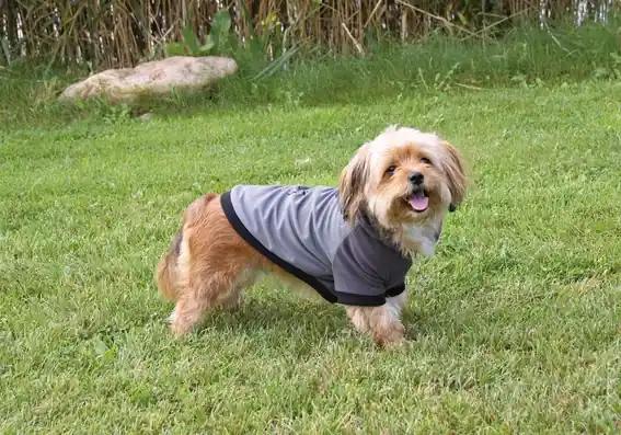 Hundpullover Halifax Grå stl. 18-26 cm | Mycket populär