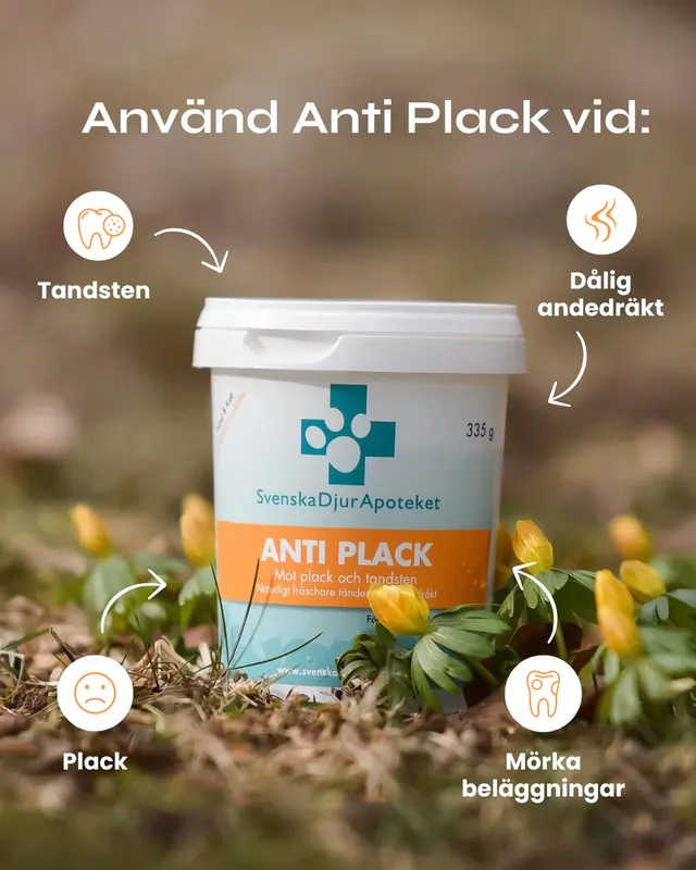 Kanonerbjudande - Svenska DjurApotekets Anti Plack 335g
