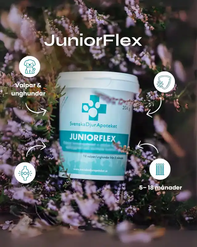Svenska DjurApotekets JuniorFlex - ledtillskott 204 gr | Kampanjpris