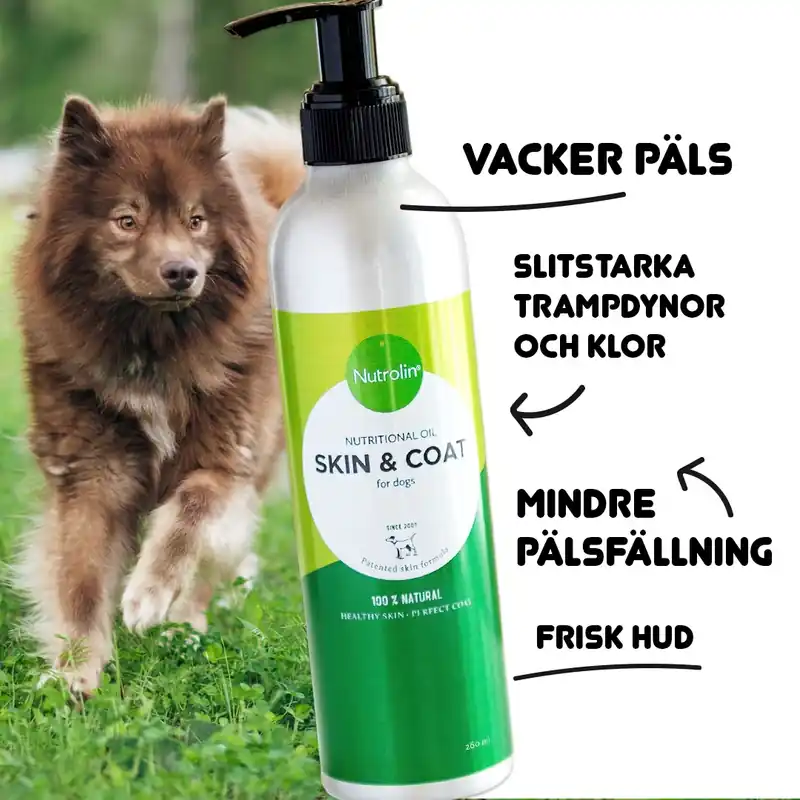 Erbjudande - Nutrolin® SKIN & COAT - hud & päls