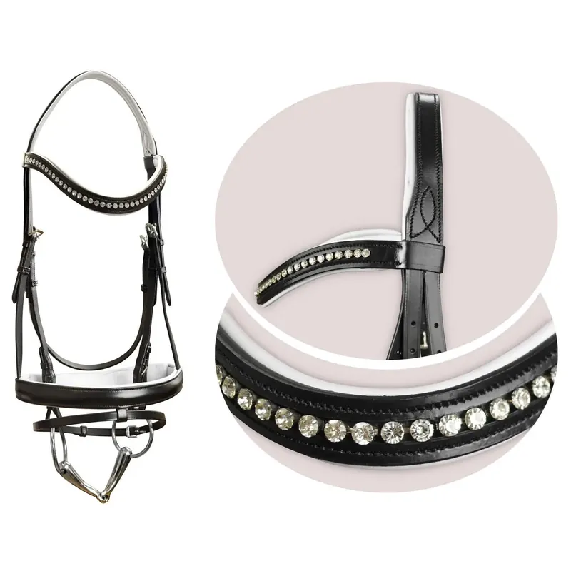 Ridträns York Gloria | Tryggt köp