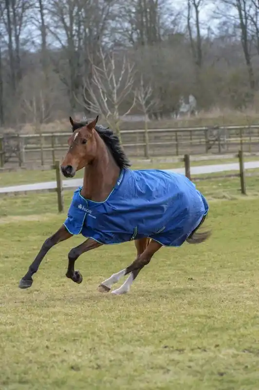 Favorit hos kunderna | Smartex Rain ”Blau” 125