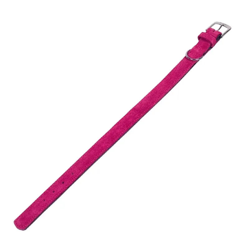 Spara mer | Hundhalsband Nobby Pet Velours