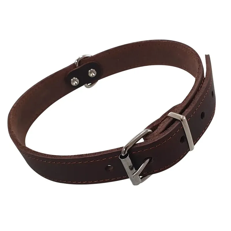 Hundhalsband Nobby Pet Tabil - Beställ online