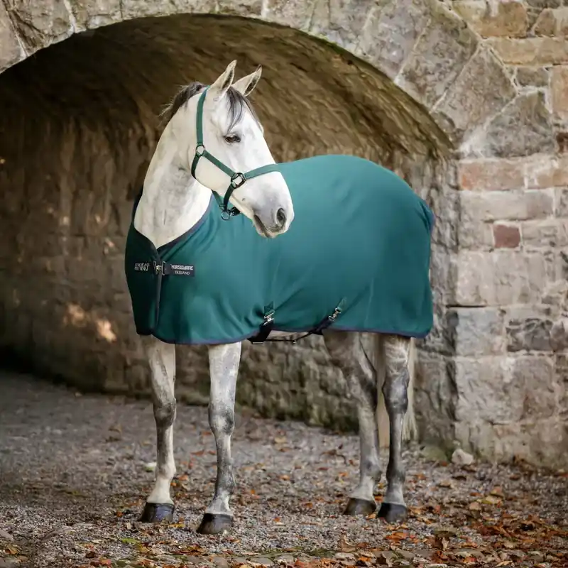 Fynd - Amigo Jersey Cooler – Dynasty Green