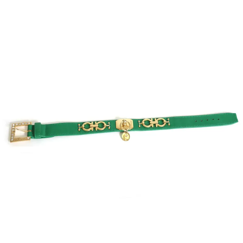 Ta chansen - Hundhalsband Martin Sellier Deco