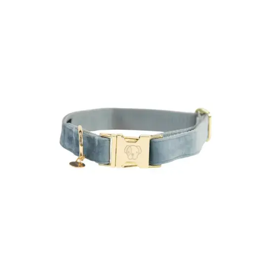 Skynda dig - Hundhalsband Kentucky Velvet