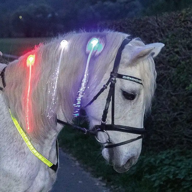 Nyinkommet | Lederklämmor med LED USG (x4)