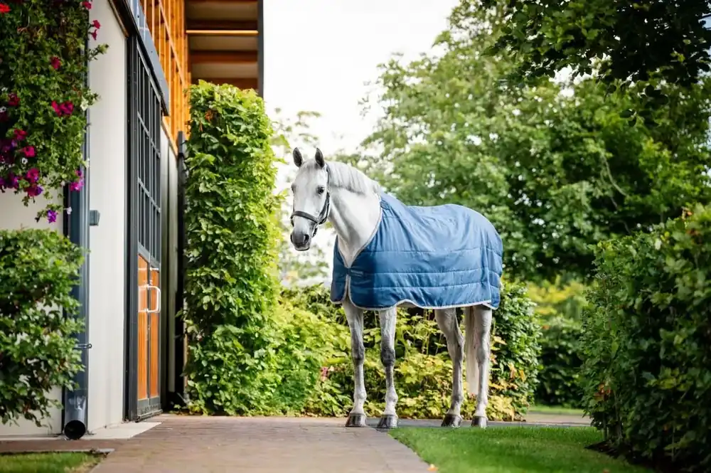 Superpris - Horseware Ionic therapy liner 200g – imperial blue/silver/navy