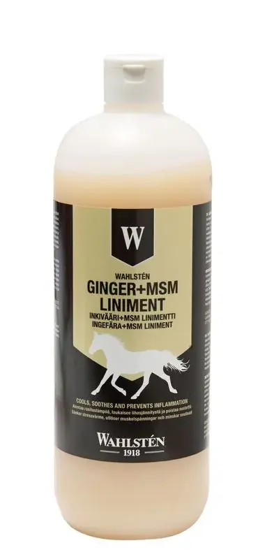 Liniment 1000ml – W-Ginger + MSM – Dubbelverkande – WAHLSTEN | Expressfrakt