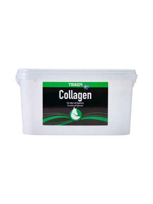 Collagen 3000g | Passa på