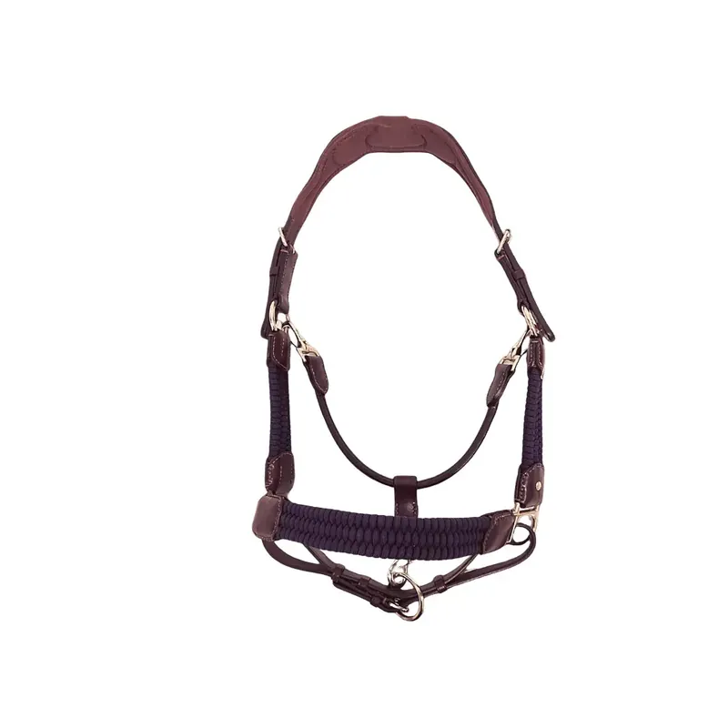 Bästsäljare - Halster för häst Silver Crown Paracord