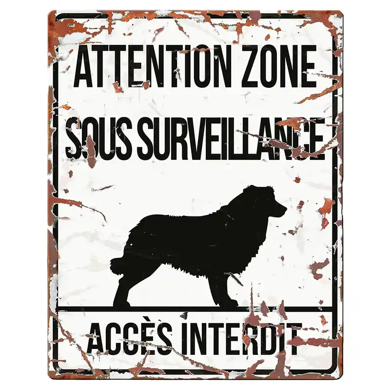 Varningsdisplaypanel D&D Home Square Collie F | Specialerbjudande