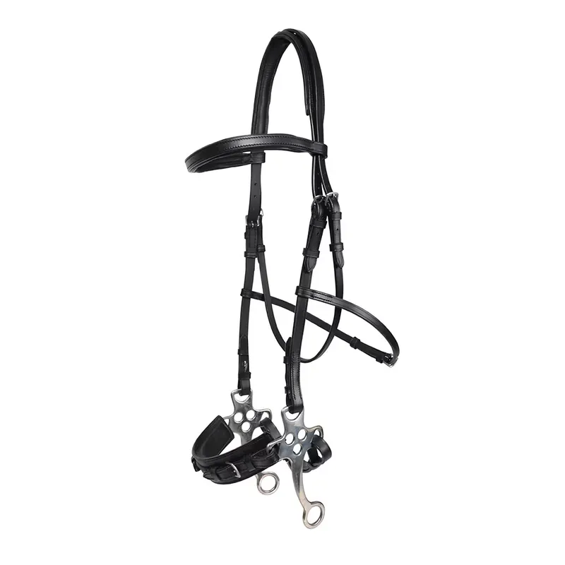 Hackamore träns Svart | Specialpris