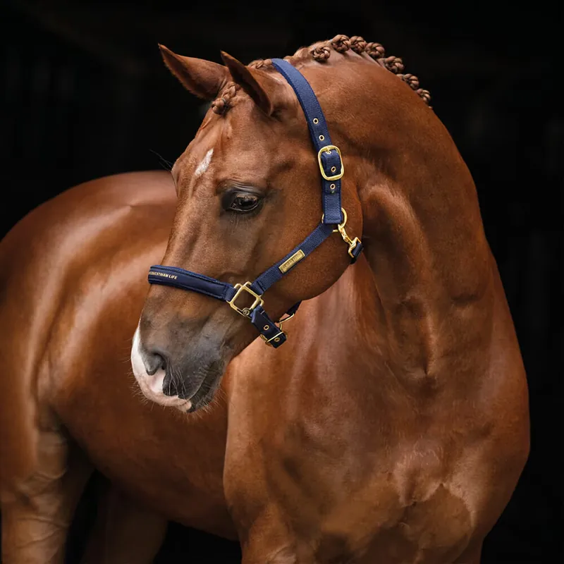 Grimma EQUESTRIAN LIFE | Handla online