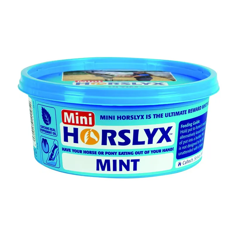 Spara mer - Slicksten Mint 650 g